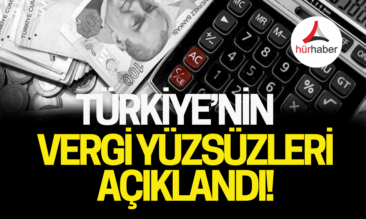 2024 Türkiye'nin Vergi yüzsüzleri açıklandı! İşte o liste..