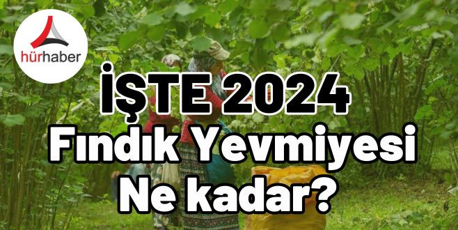 2024 Yılı fındık yevmiyesi ne kadar? İşte tüm detaylar.. 