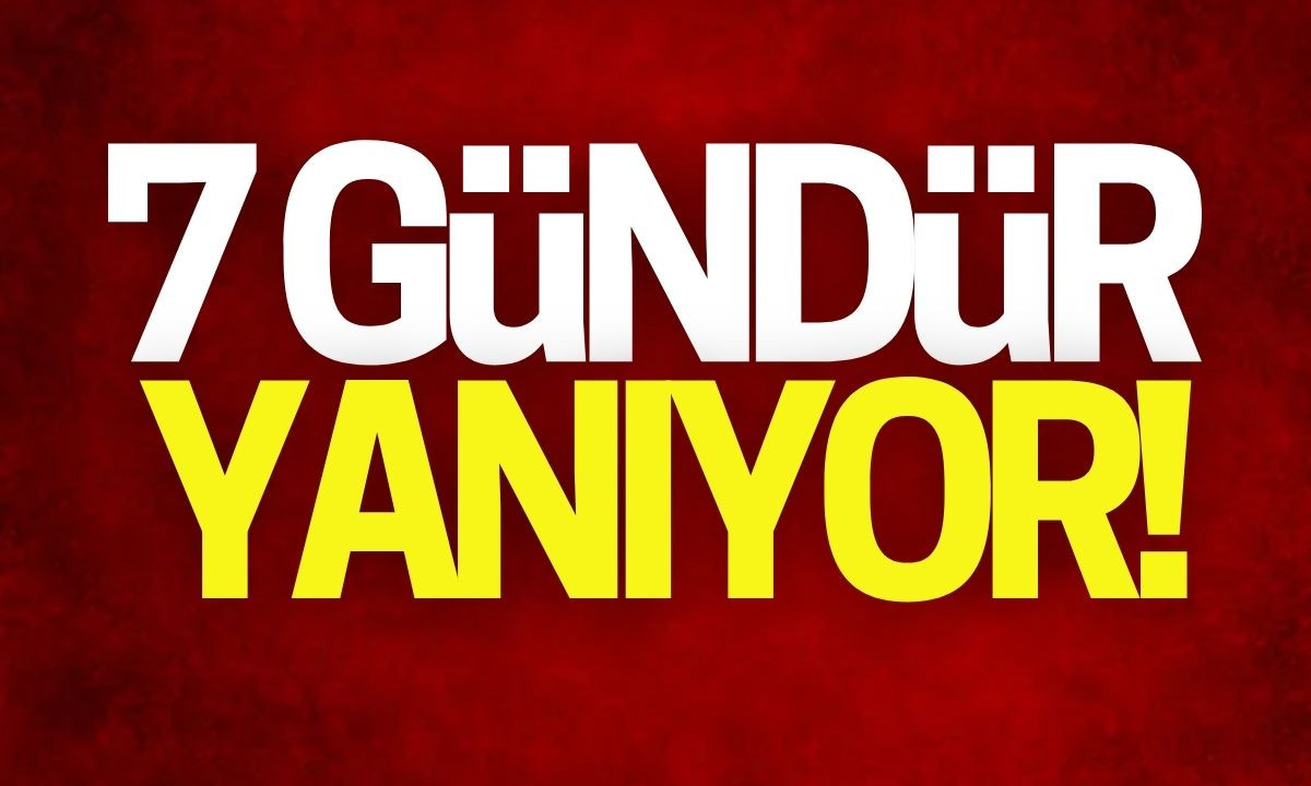 7 gündür yanıyor! 