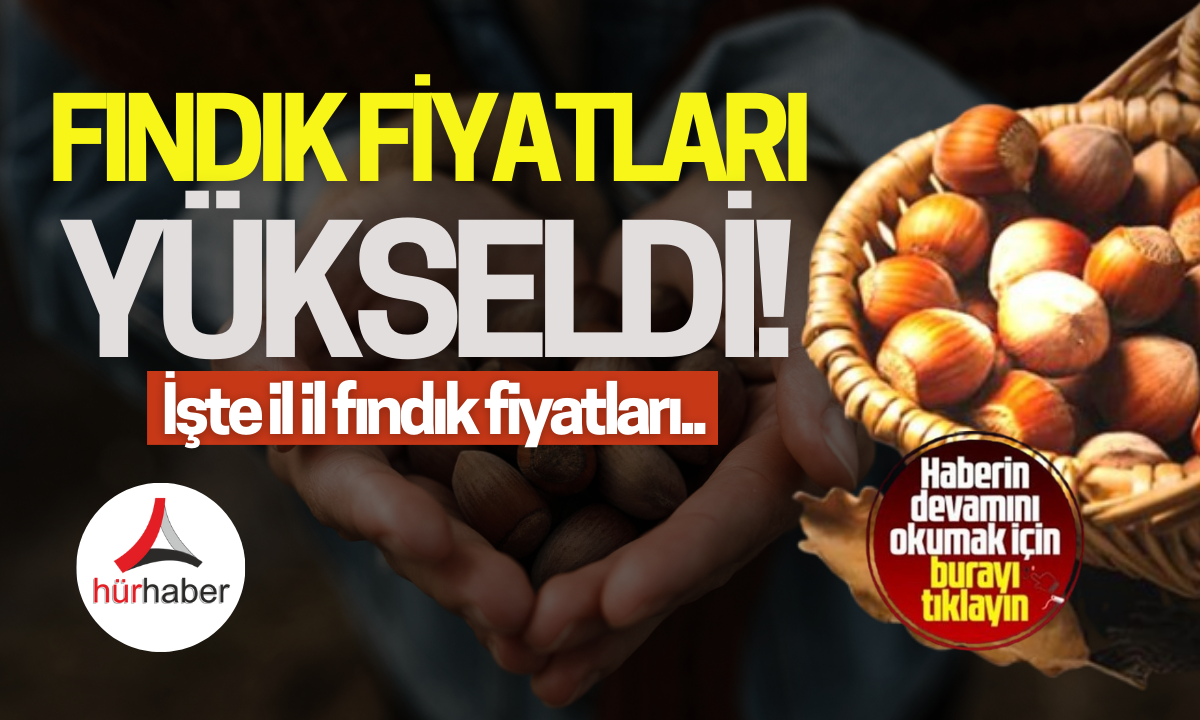 9 Kasım 2024 Fındık fiyatları İşte güncel fındık fiyatları 