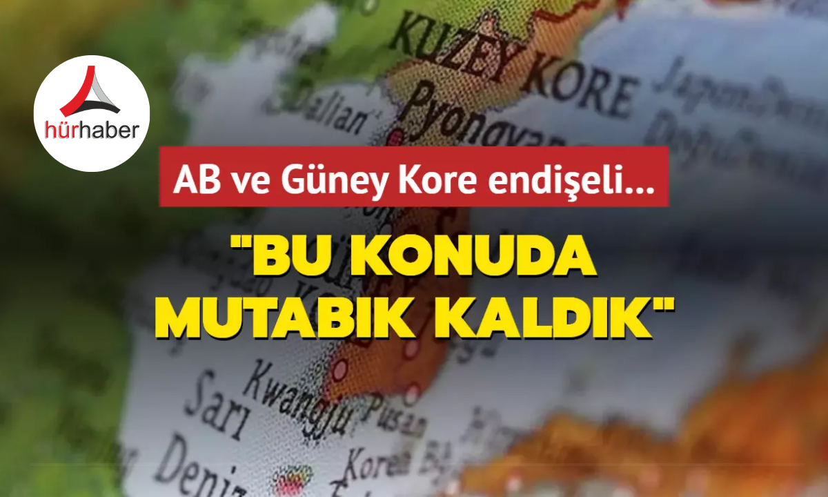 AB ve Güney Kore endişeli: Bu konuda mutabık kaldık