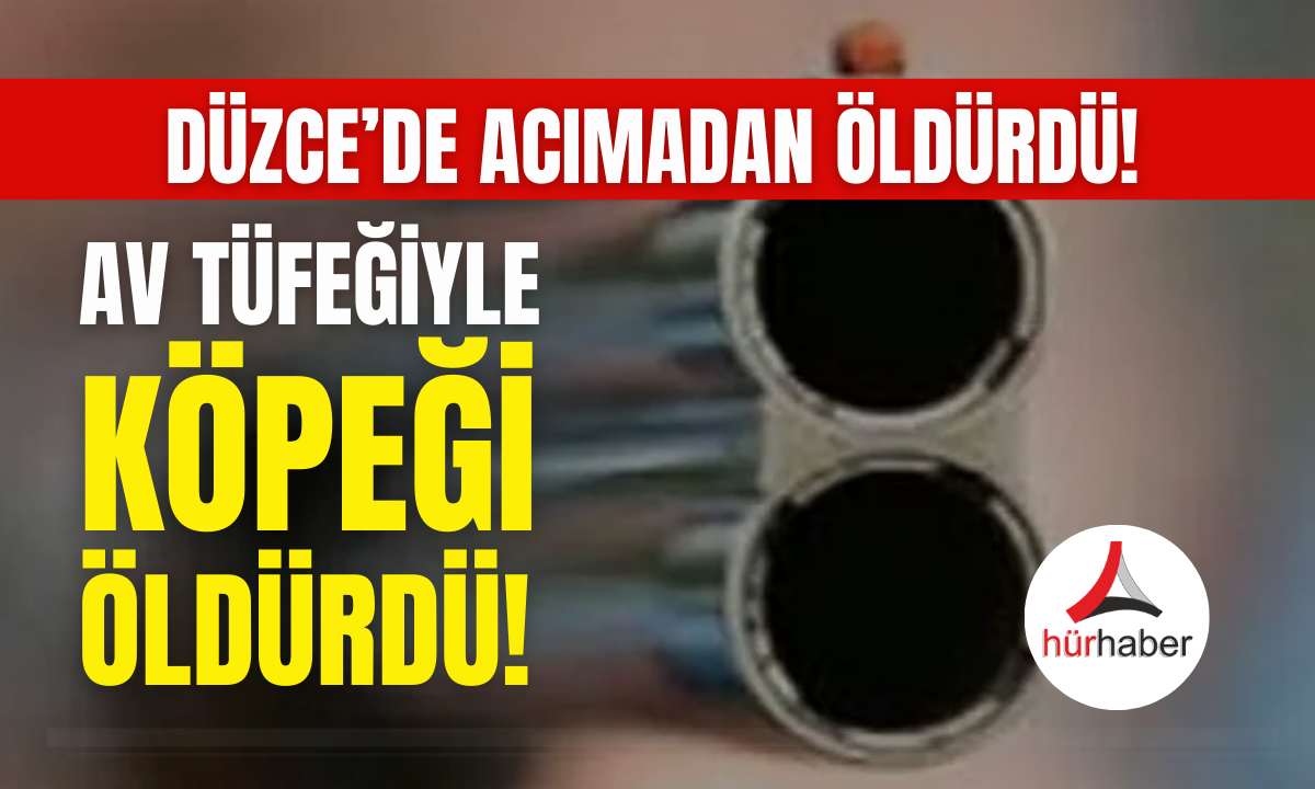 Acımasız canı Düzce'de av tüfeğiyle köpeği öldürdü!