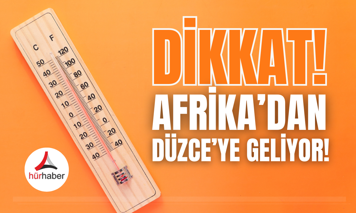 Afrika'dan Düzce'ye geliyor! Sıcaktan kavrulacağız!