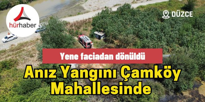 Anız Yangını Çamköy Mahallesinde 