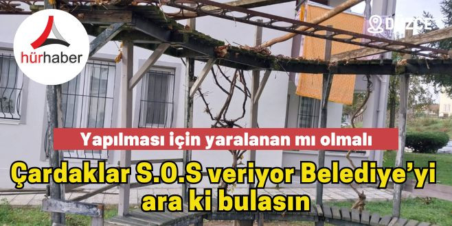 Bahçeşehir bölgesindeki çardaklar SOS veriyor kimsenin umurunda değil