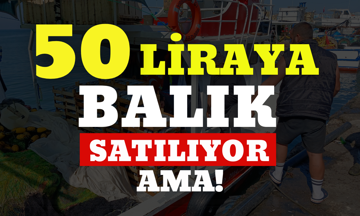 Batı Karadeniz'de 50 kayıktan sadece 10'u balık tutabiliyor