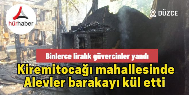 Binlerce liralık güvercinler yandı