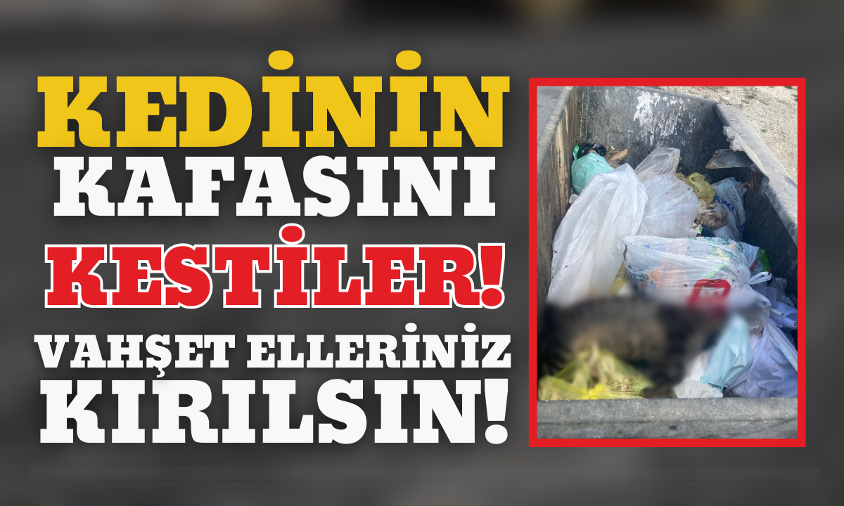 Çay Mahallesi’nde vahşet elleriniz kırılsın! 