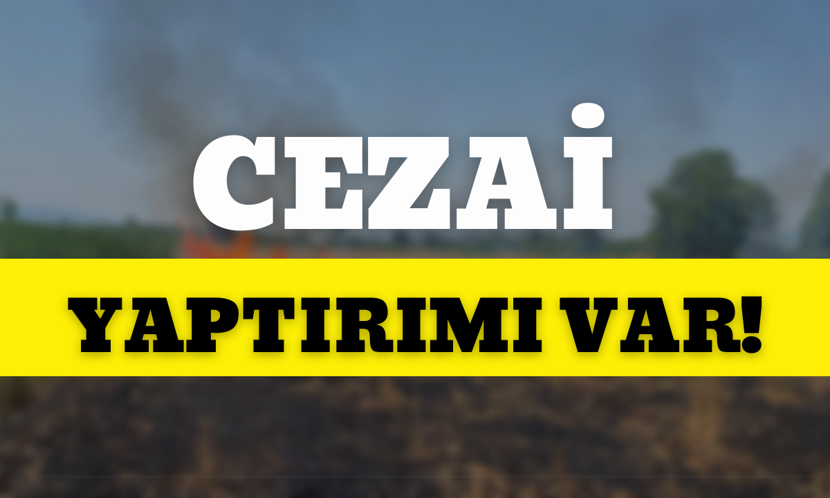 Cezai yaptırımı var!