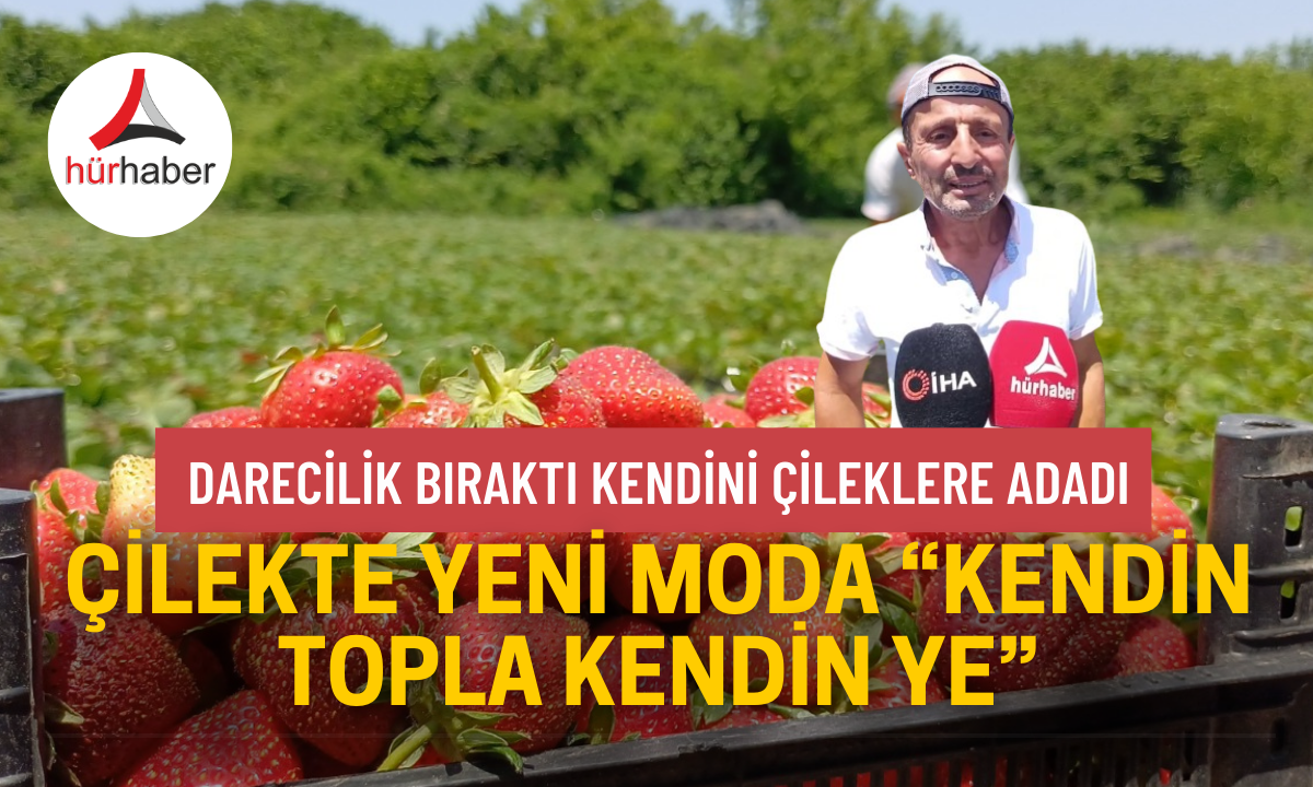 Çilekte yeni moda “kendin topla kendin ye”