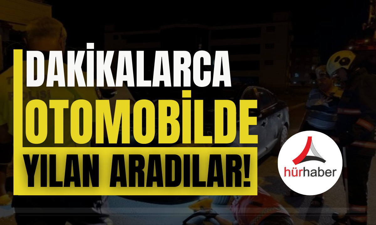 Dakikalarca otomobilde yılan aradılar!