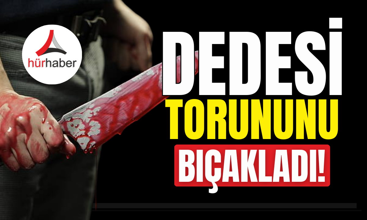 Dedesi 25 yaşındaki torununu karnından bıçakladı!