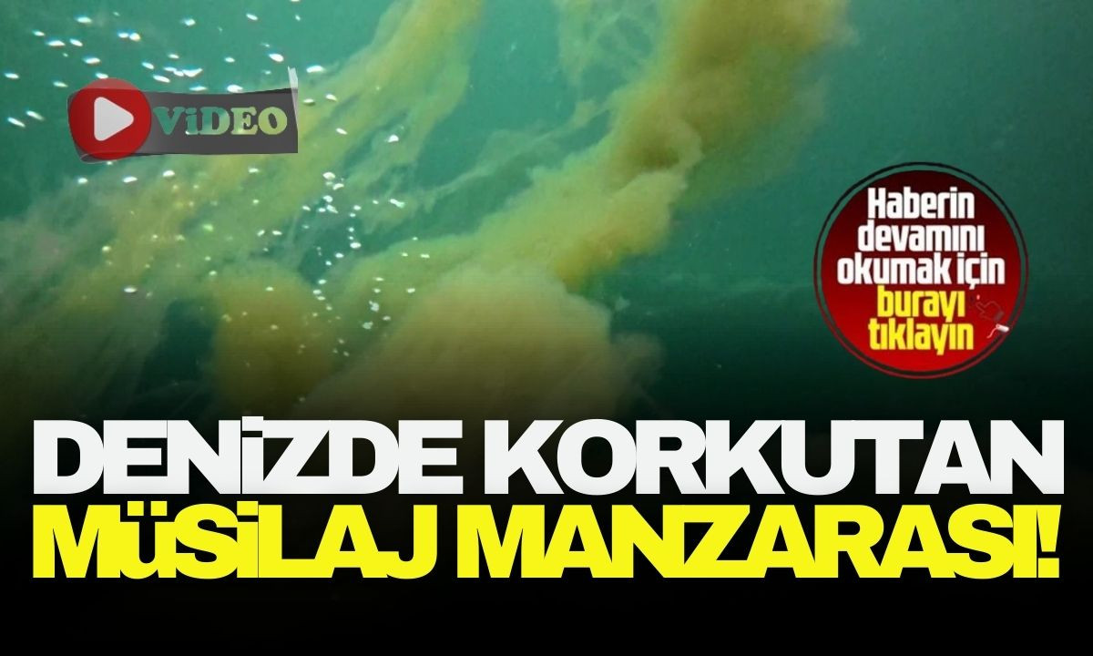 Denizde korkutan müsilaj manzarası! 