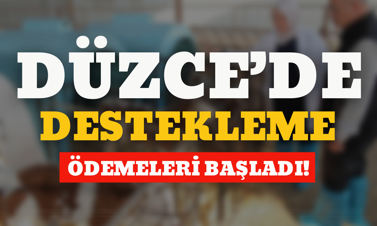 Destekleme ödemeleri başladı!