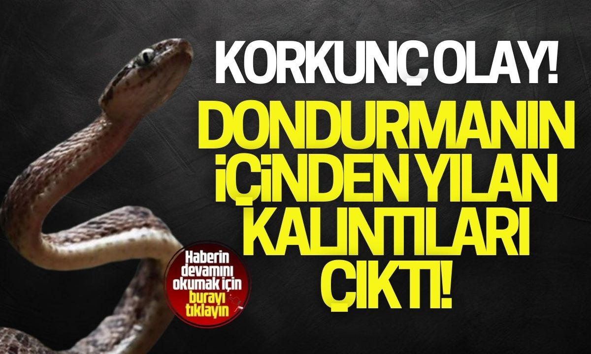 Dondurmanın içinden yılan kalıntıları çıktı! 