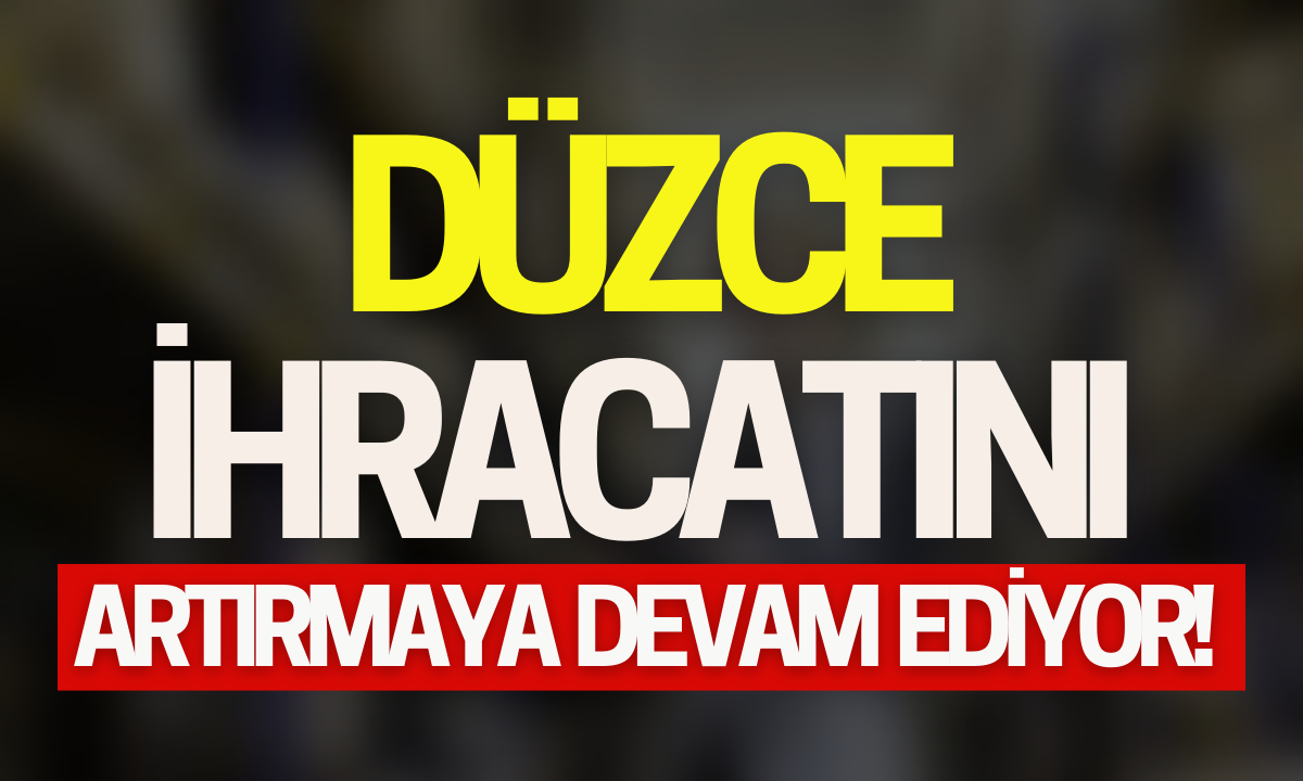 Düzce ihracatını artırmaya devam ediyor!