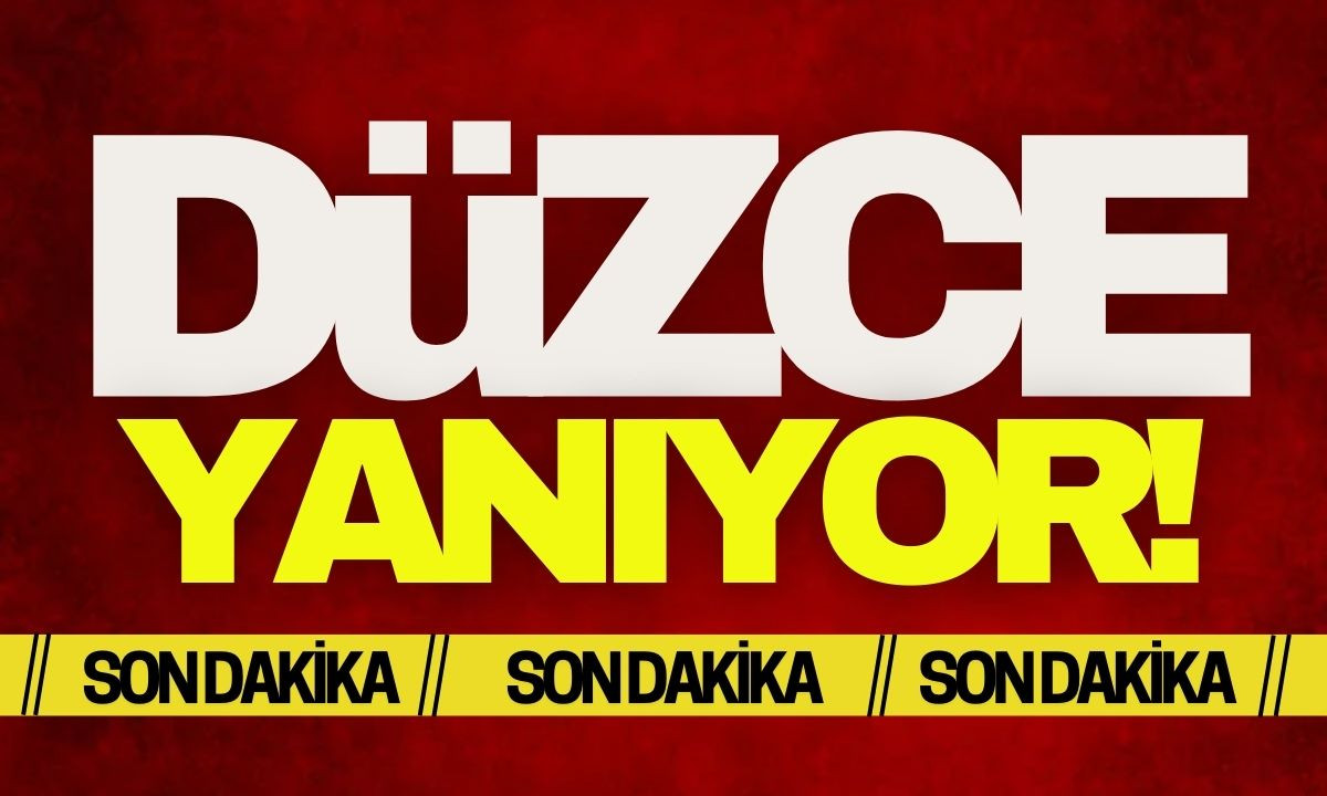 Düzce yanıyor! 