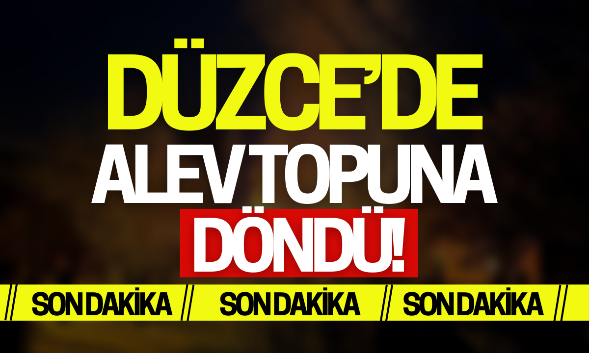 Düzce'de alev topuna döndü! 