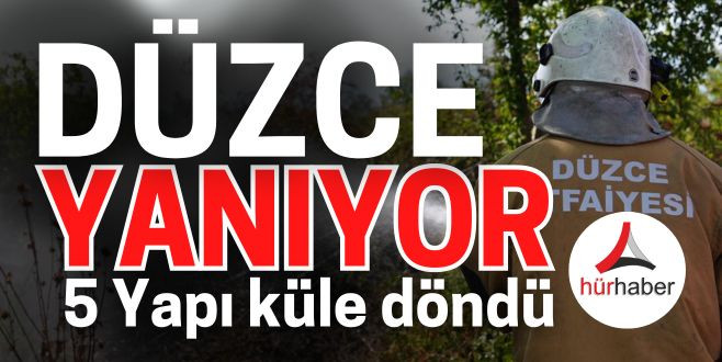 Düzce'de büyük yangın 5 yapı küle döndü