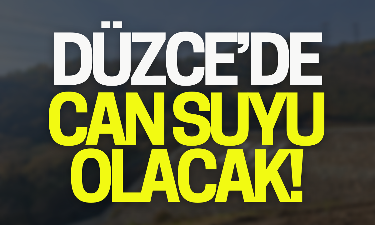 Düzce'de can suyu olacak! 