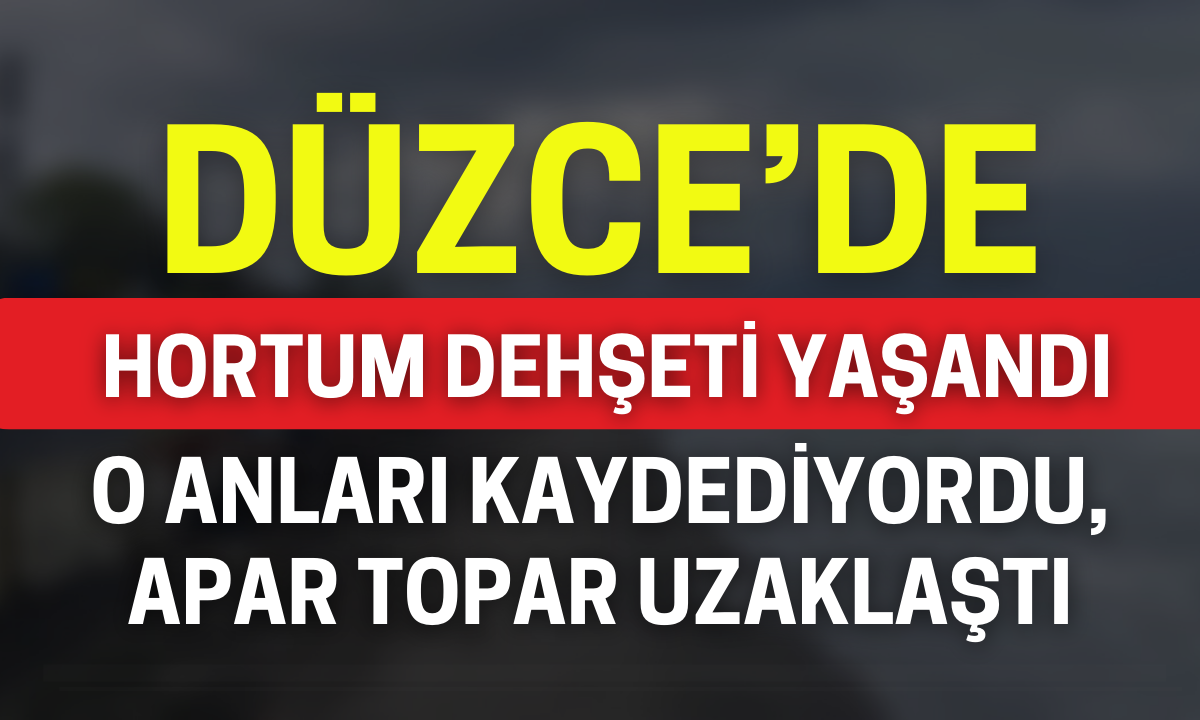 Düzce'de hortum dehşeti yaşandı!