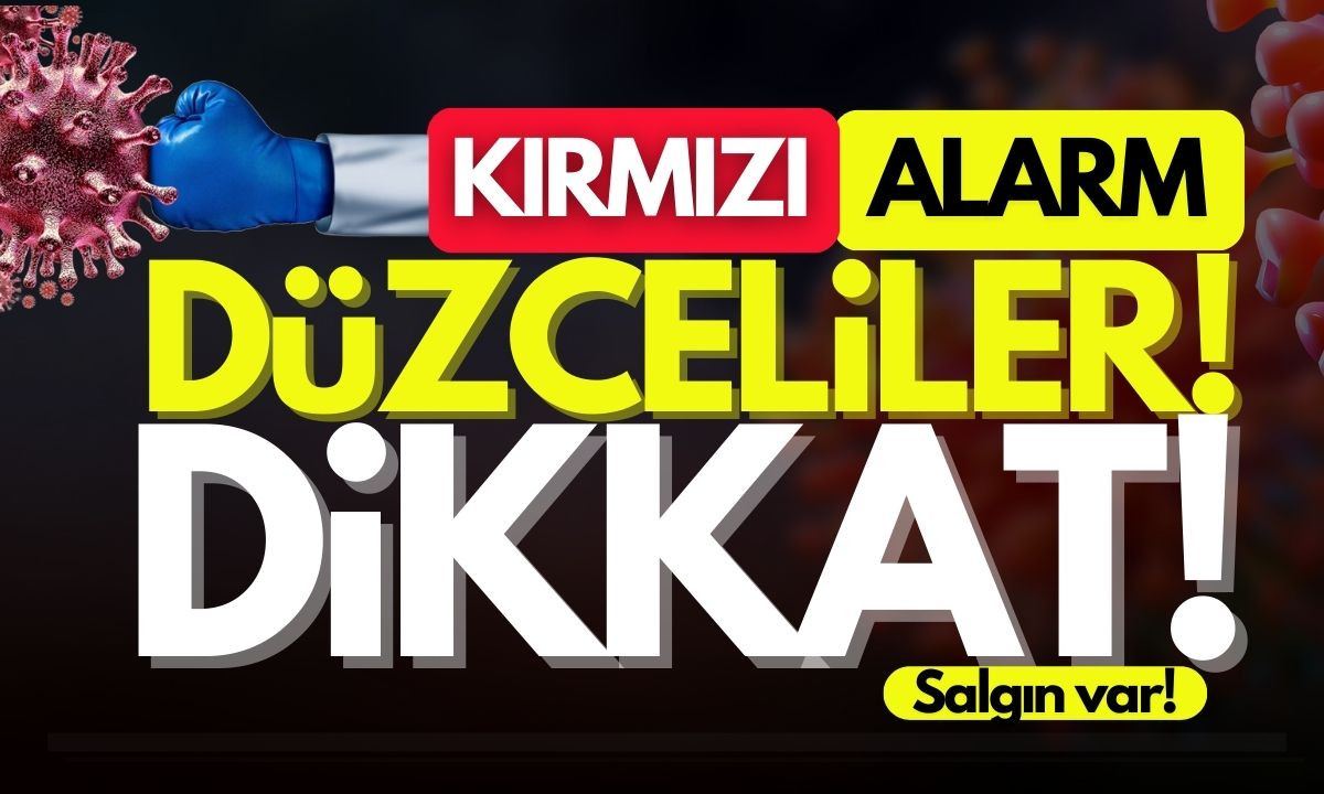 Düzce'de kırmızı alarm! Salgın var! 