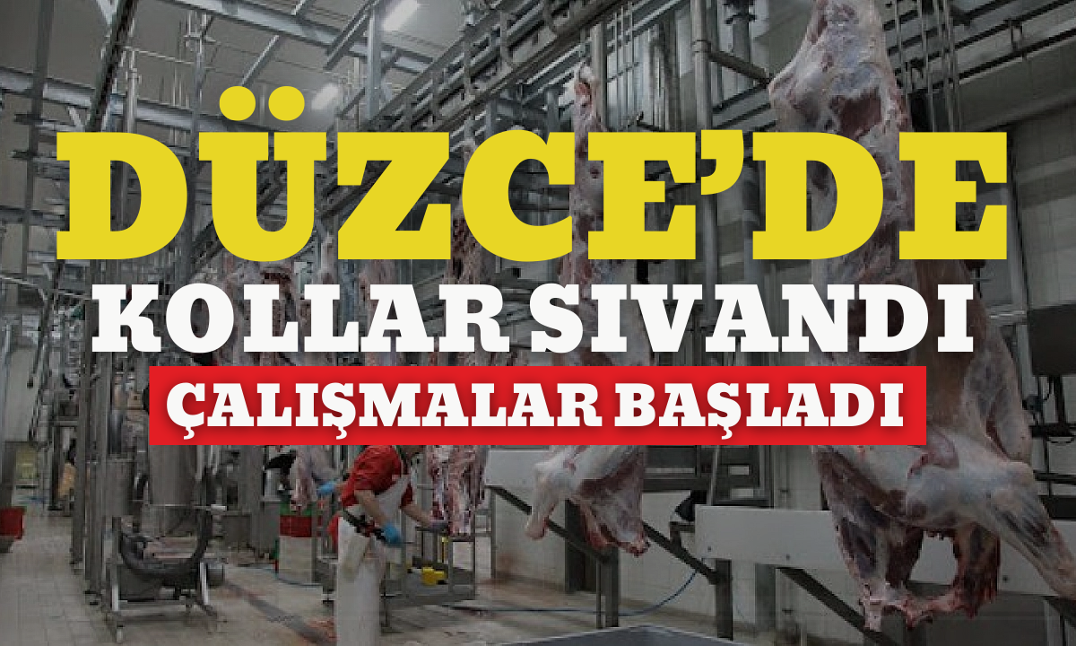 Düzce'de kollar sıvandı! Çalışmalar başladı