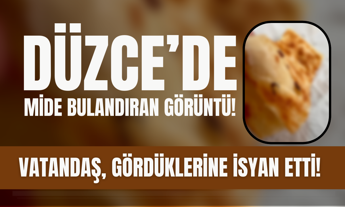 Düzce'de mide bulandıran görüntü! Vatandaş İsyan etti!