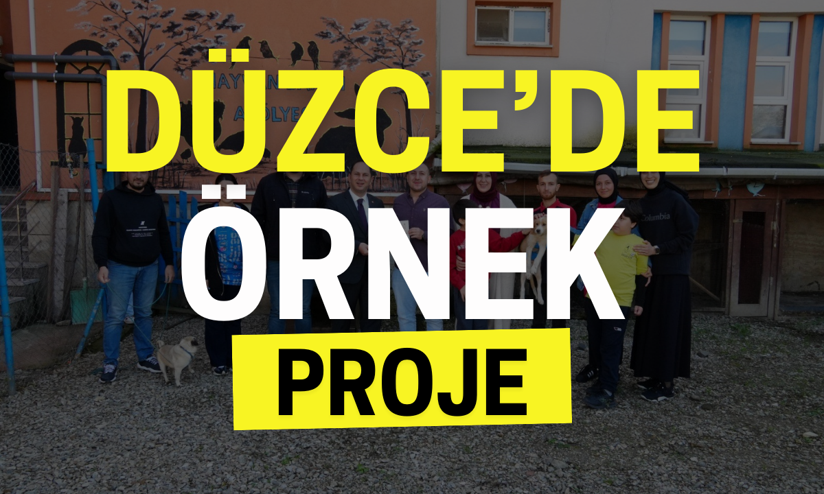 Düzce'de örnek proje!