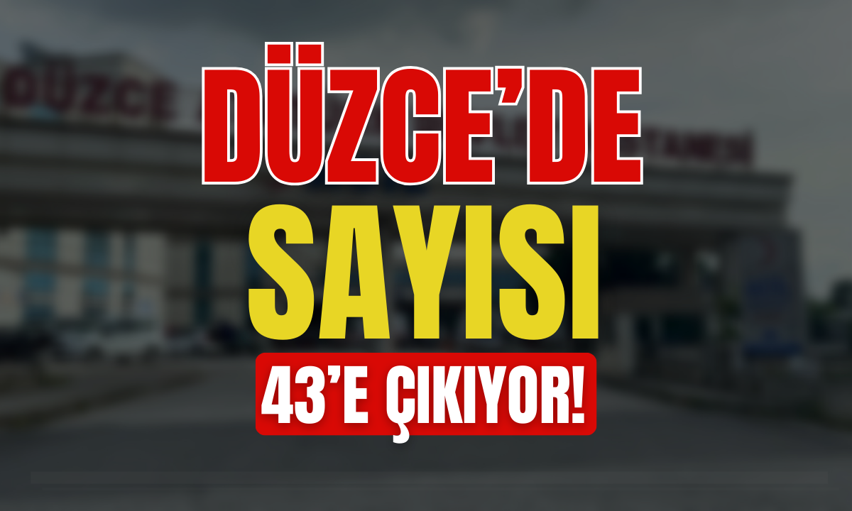 Düzce'de sayısı 43'e çıkıyor!