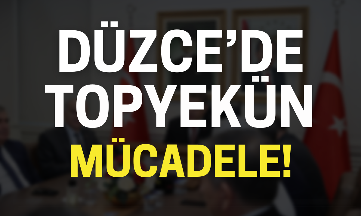 Düzce'de topyekün mücadele