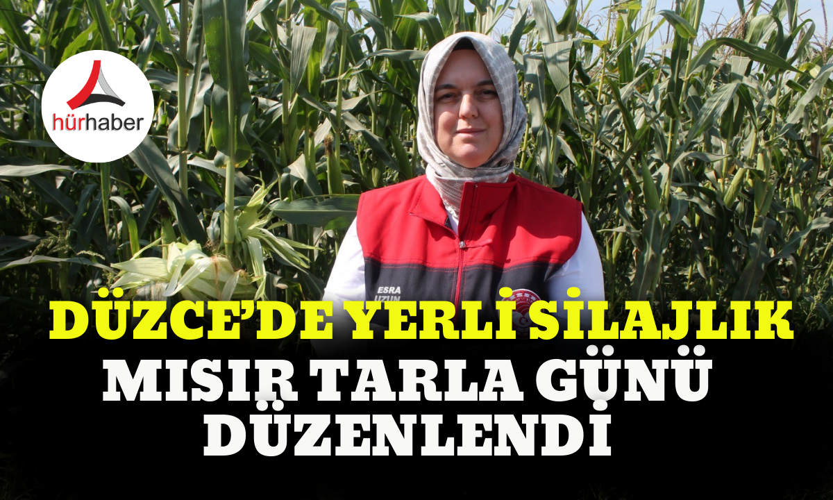 Düzce’de yerli silajlık mısır tarla günü düzenlendi!