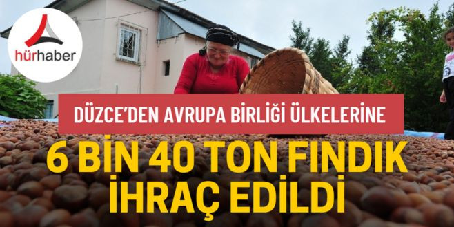 Düzce'den 6 bin 40 ton fındık ihraç edildi