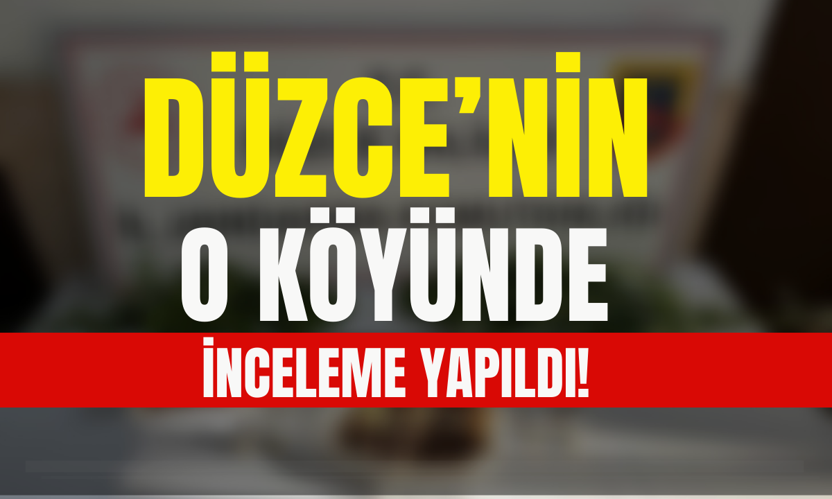 Düzce'nin o köyünde inceleme yapıldı!