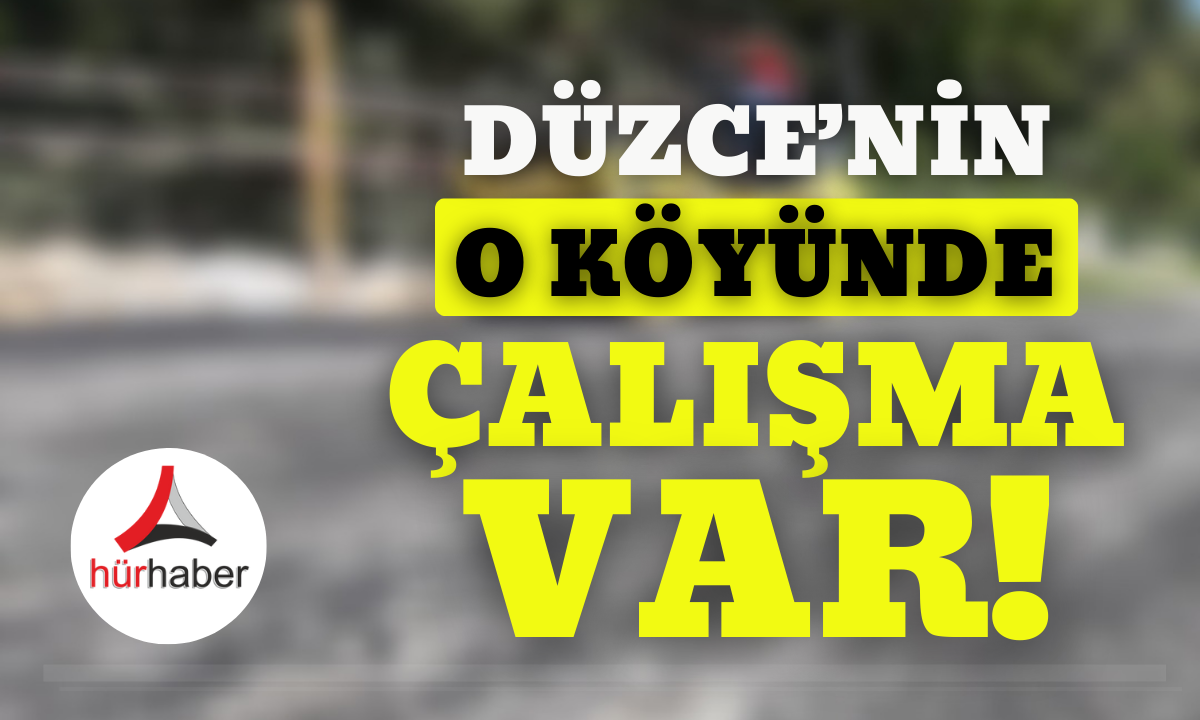 Düzce'nin o köyünde çalışma var! 