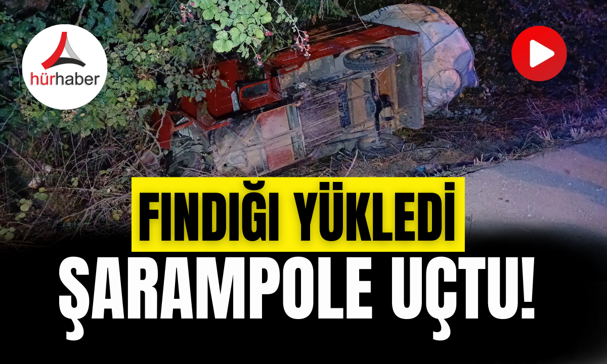 Fındığı yükledi şarampole uçtu!