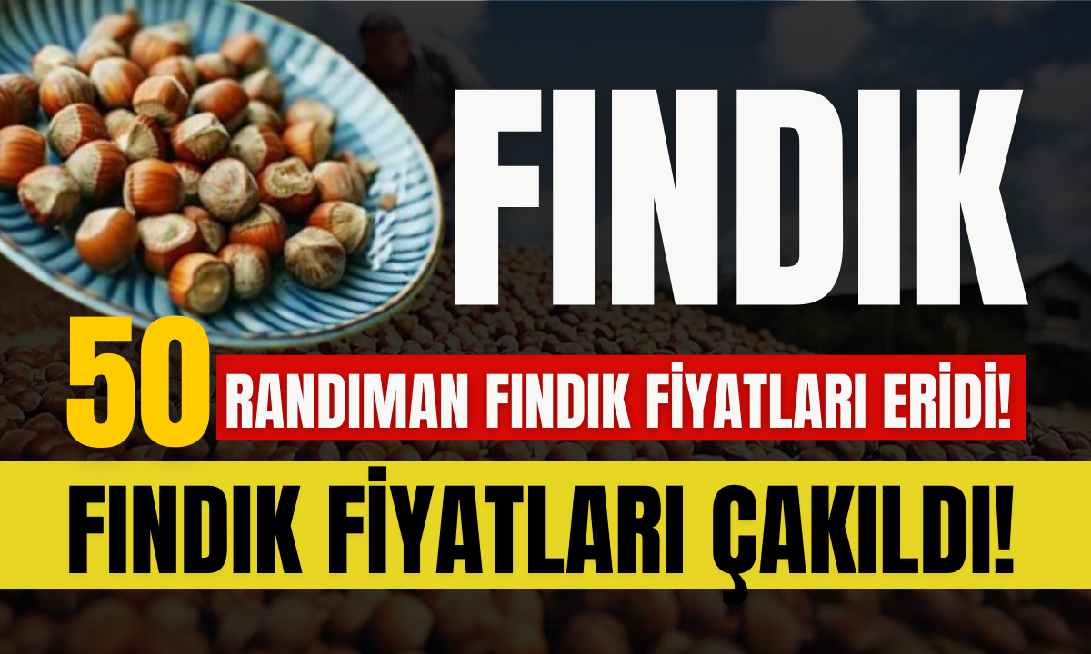 Fındık fiyatları eridi! 2024