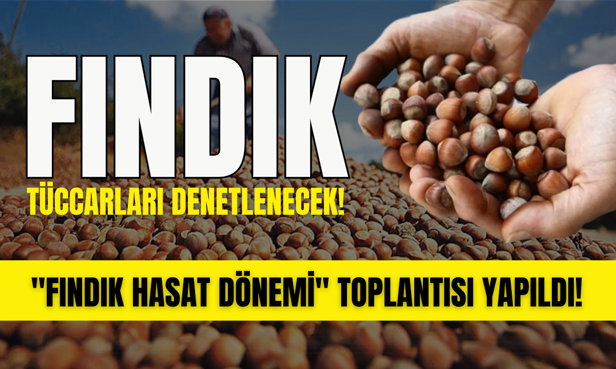 Fındık tüccarları denetleme yapılacak!