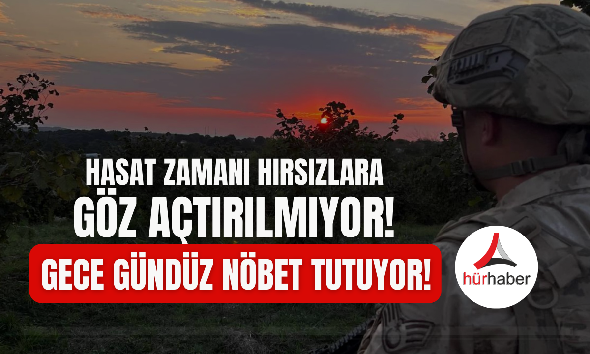 Gece gündüz nöbet tutuyor! Hasat zamanı!