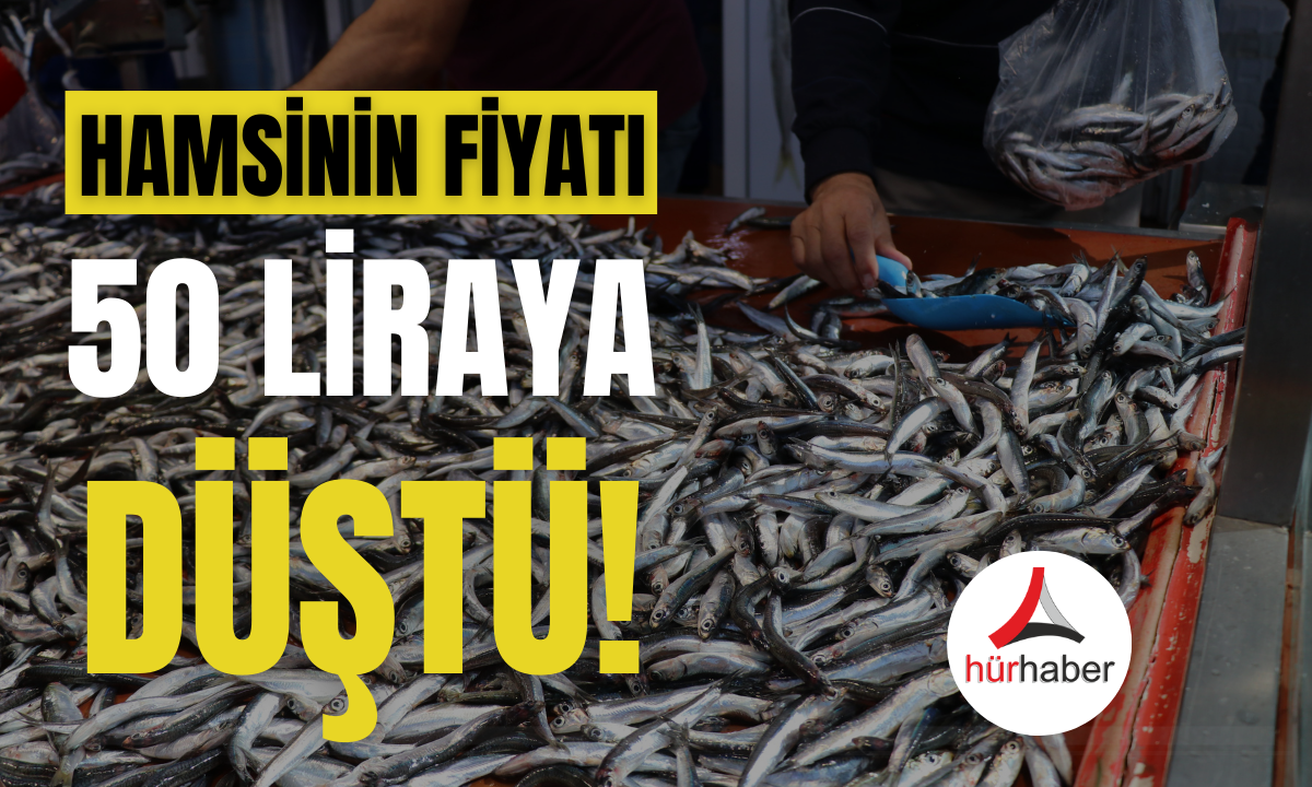 Hamsinin fiyatı 50 lira birden düştü! 