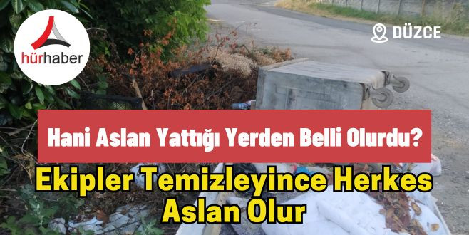 Hani aslan yattığı yerden belli olurdu?