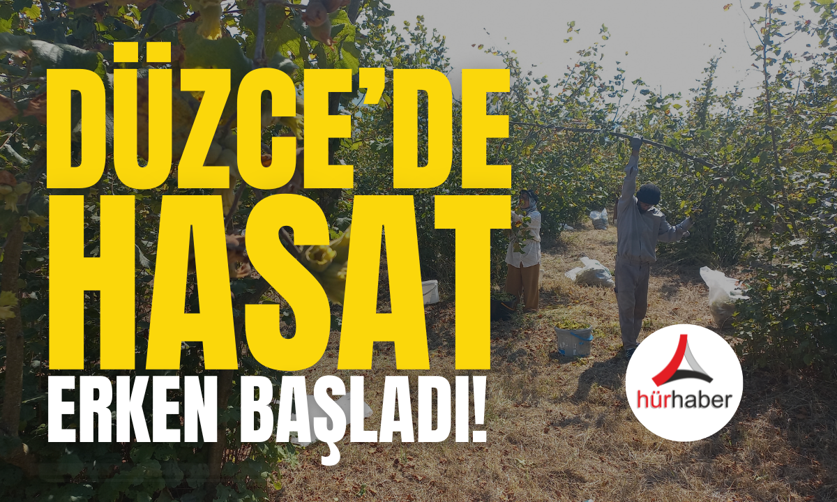 Hasat erken başladı! İşte detaylar