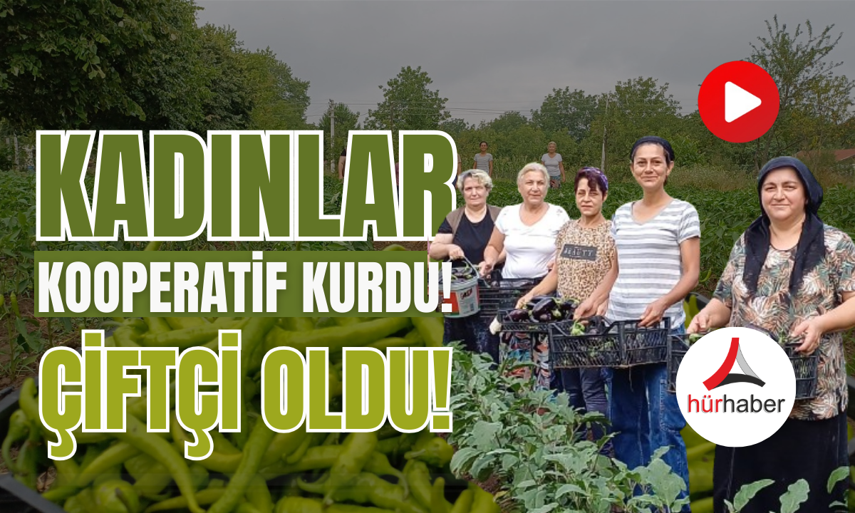 Kadınlar kooperatif kurdu çiftçi oldu!