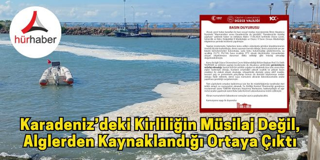 Karadeniz’deki kirliliğin müsilaj değil, alglerden kaynaklandığı ortaya çıktı