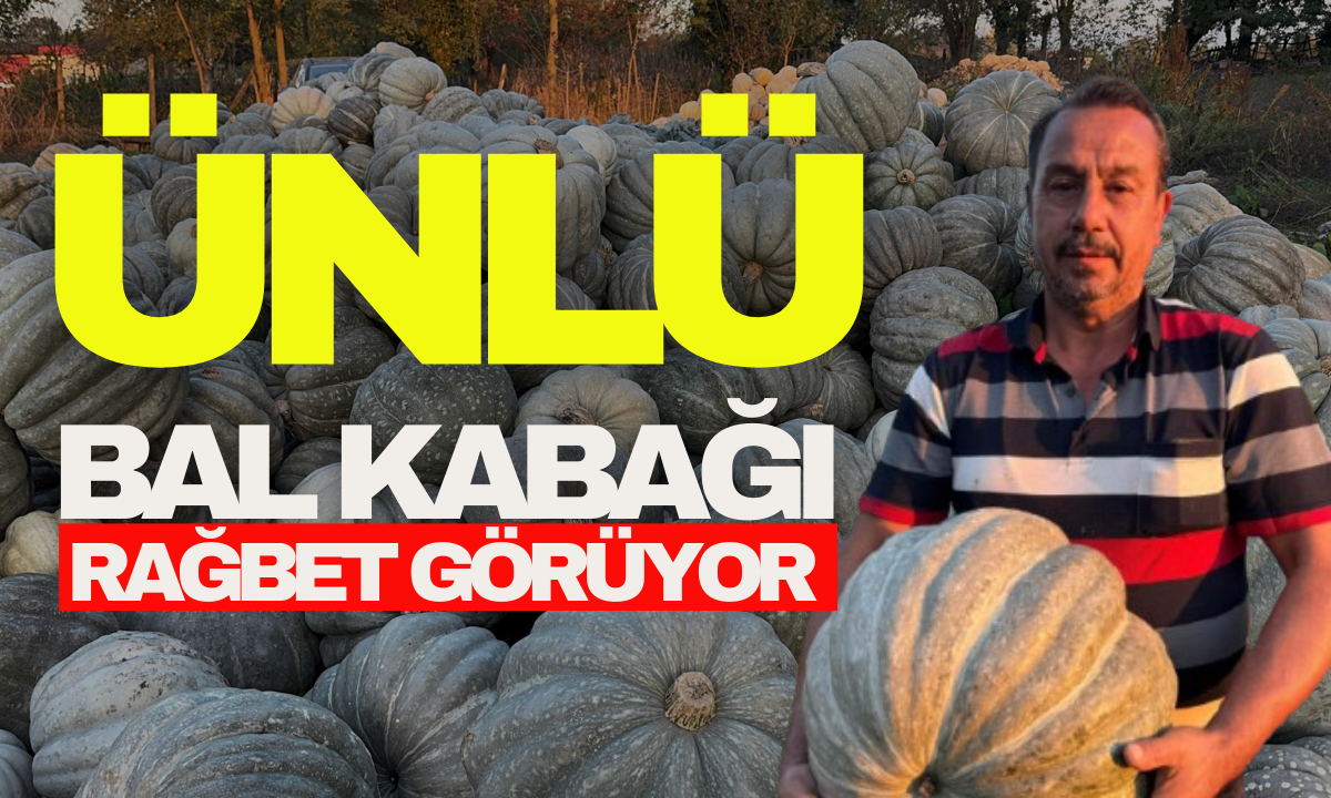 Kilosu 10 liradan alıcı bulan bal kabağı!