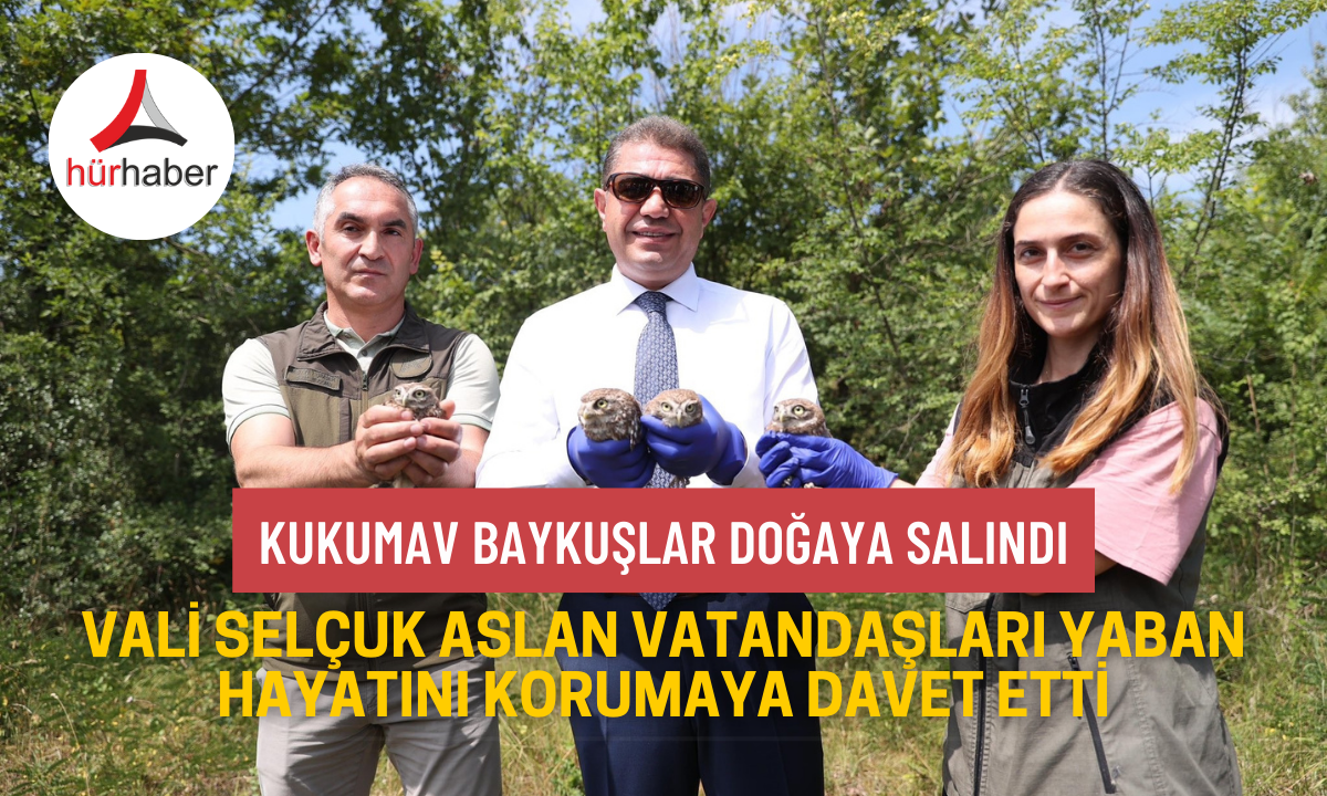 Kukumav baykuşlar doğaya salındı