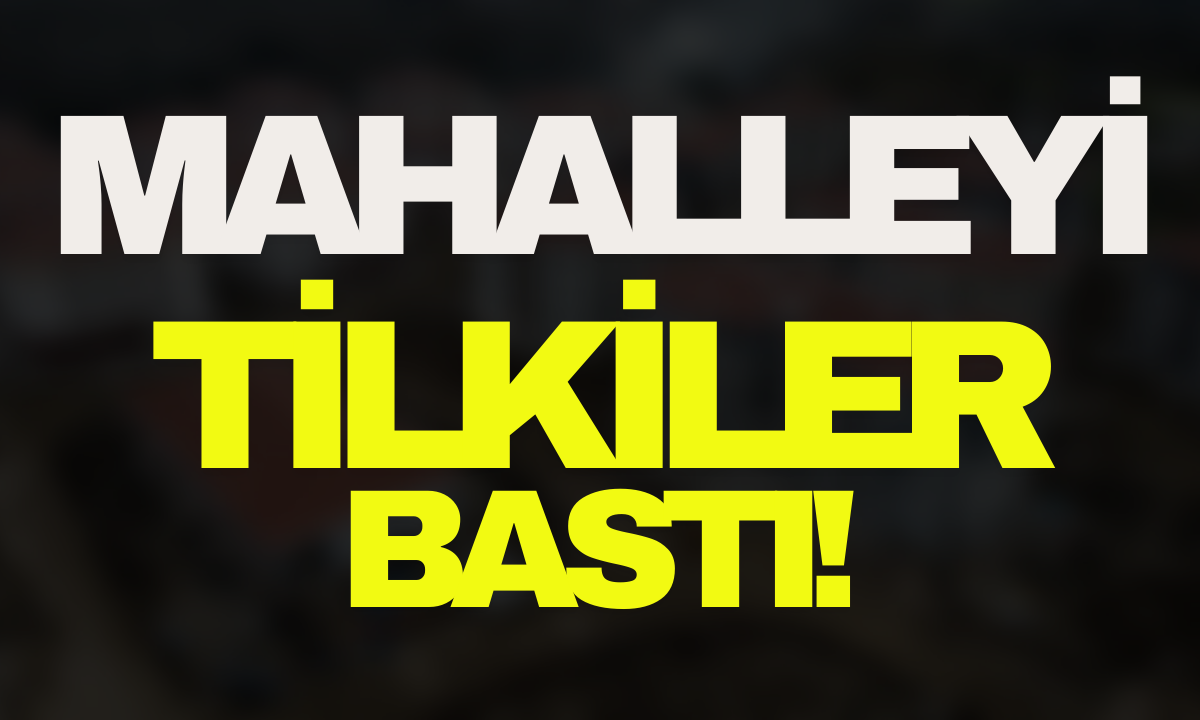 Mahalleyi Tilkiler bastı!