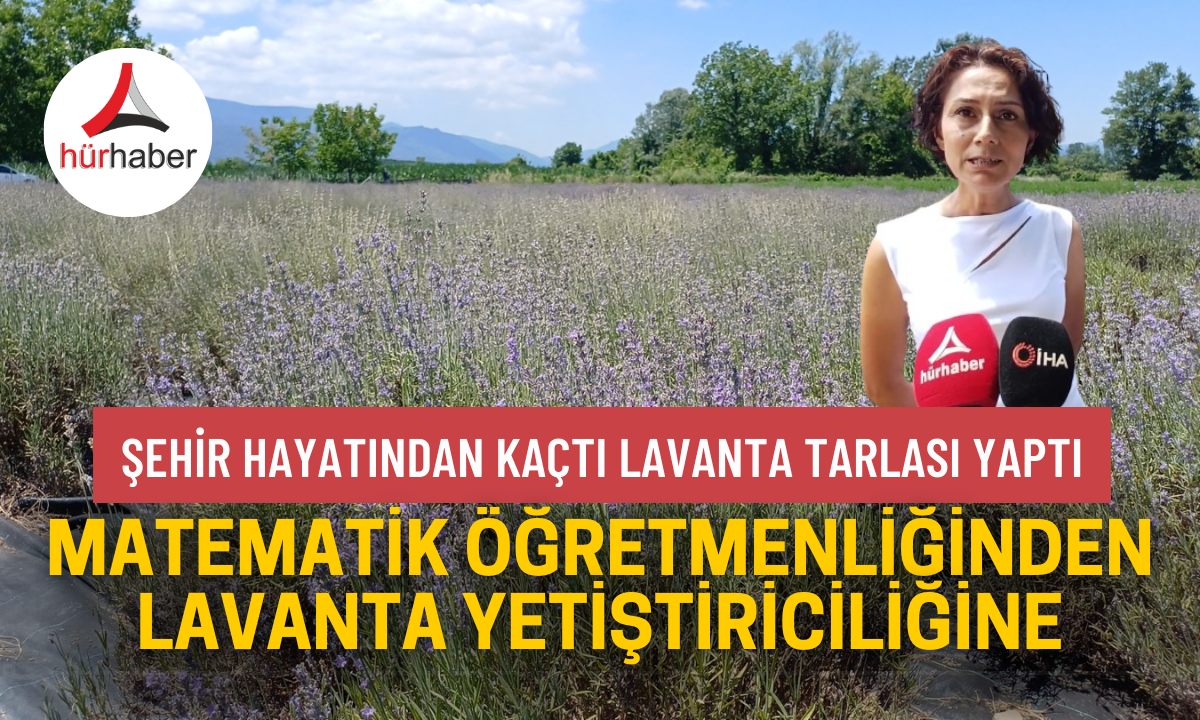 Matematik öğretmenliğinden lavanta yetiştiriciliğine 