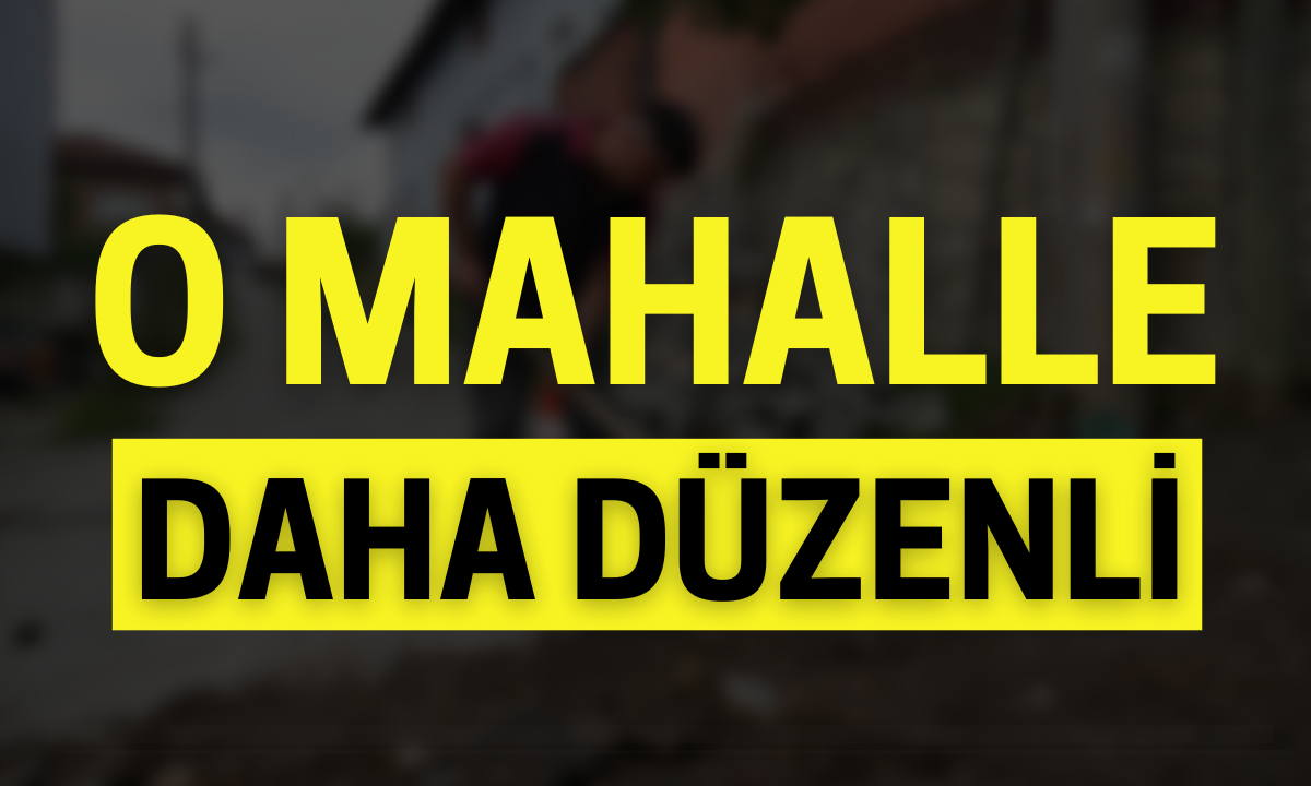 O mahalle daha düzenli!