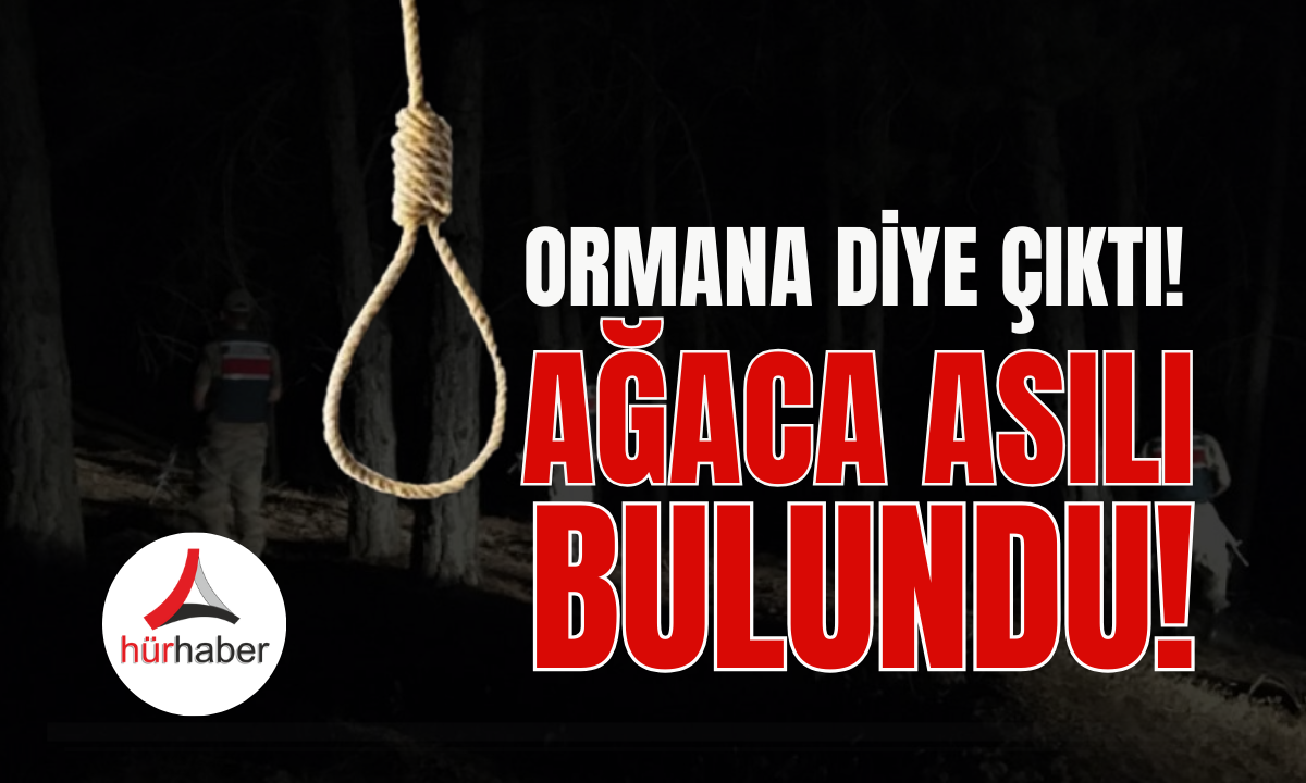 Ormana diye çıktı! Asılı halde bulundu!